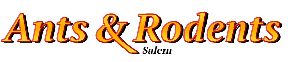 Salem Ant Exterminator & Rodent Control Company Logo